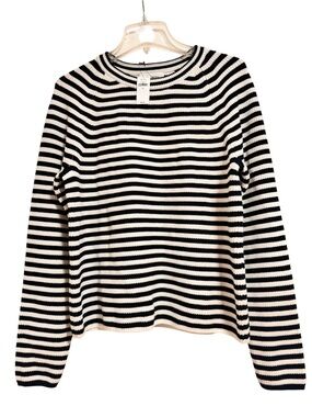 NWT Banana Republic XL Striped Raglan Sleeve Crewneck Sweater - Retail $90